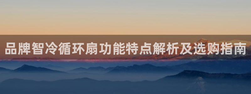 品牌智冷循环扇功能特点解析及选购指南