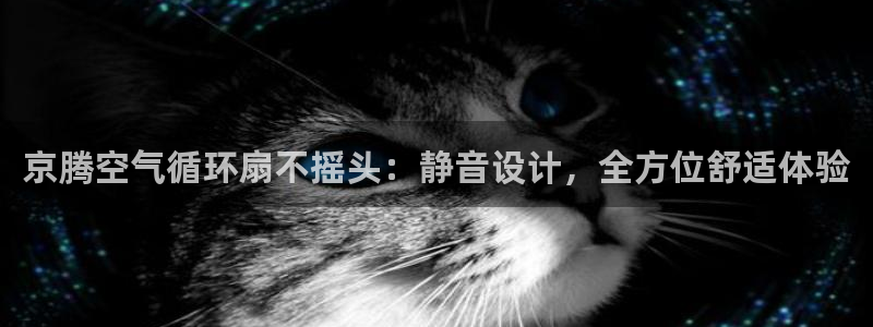 京腾空气循环扇不摇头：静音设计，全方位舒适体验