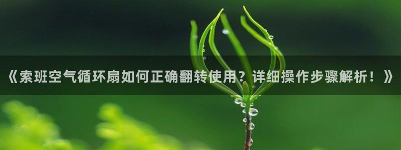 《索班空气循环扇如何正确翻转使用？详细操作步骤解析！》