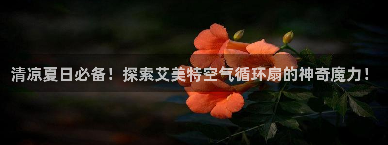 清凉夏日必备！探索艾美特空气循环扇的神奇魔力！