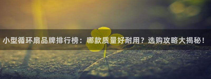 小型循环扇品牌排行榜：哪款质量好耐用？选购攻略大揭秘！