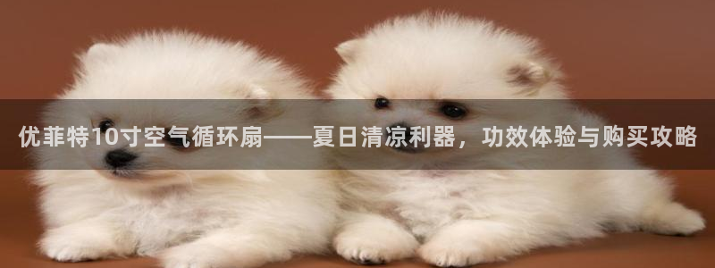 优菲特10寸空气循环扇——夏日清凉利器，功效体验与购买攻略