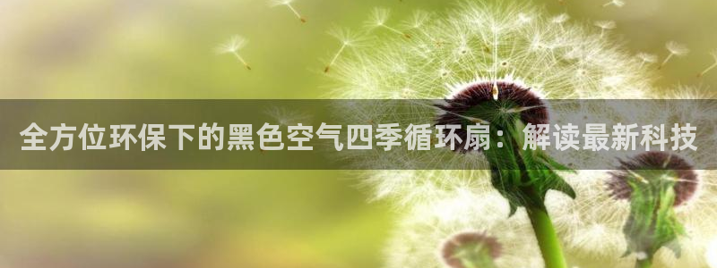 全方位环保下的黑色空气四季循环扇：解读最新科技