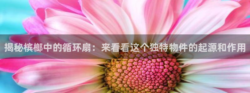揭秘槟榔中的循环扇：来看看这个独特物件的起源和作用
