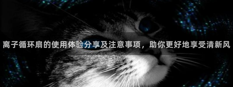 离子循环扇的使用体验分享及注意事项，助你更好地享受清新风