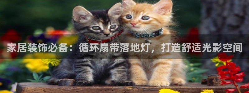 凯发k8登录首页
