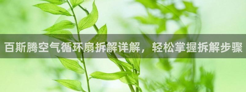 百斯腾空气循环扇拆解详解，轻松掌握拆解步骤