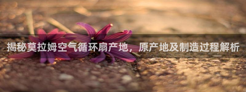 揭秘莫拉姆空气循环扇产地，原产地及制造过程解析