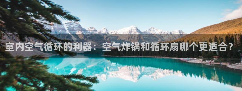 室内空气循环的利器：空气炸锅和循环扇哪个更适合？