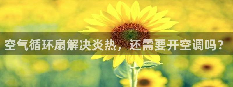 空气循环扇解决炎热，还需要开空调吗？