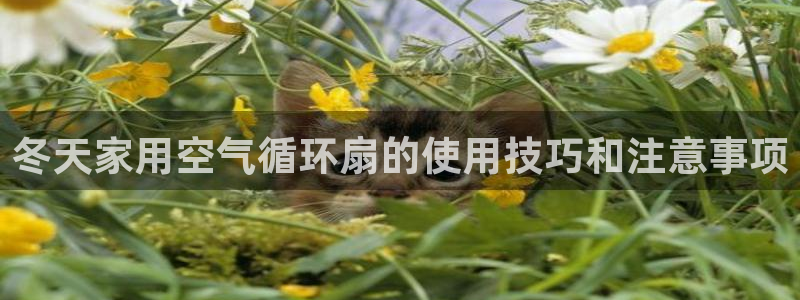 凯发线上客户端免费下载：冬天家用空气循环扇的使用技巧和注意事项