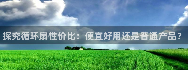 凯发国际网址官网：探究循环扇性价比：便宜好用还是普通产品？