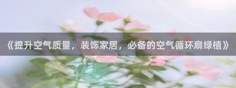 国际凯发k8真人版旗舰厅：《提升空气质量，装饰家居，必备的空气循环扇绿植》