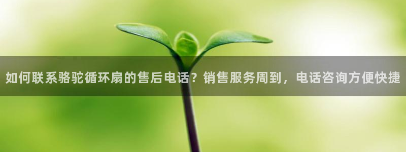 凯发旗舰