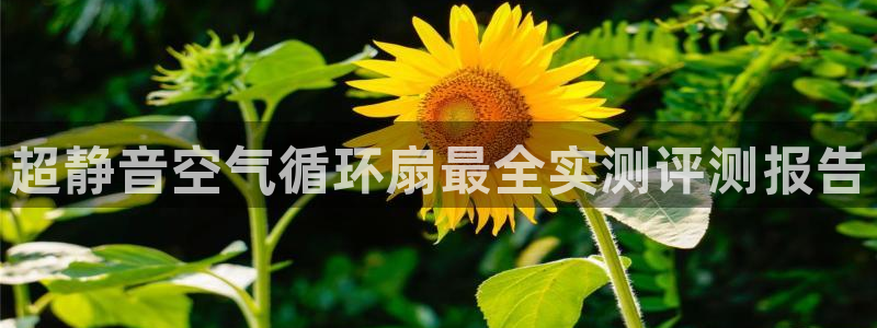 凯发旗舰平台：超静音空气循环扇最全实测评测报告