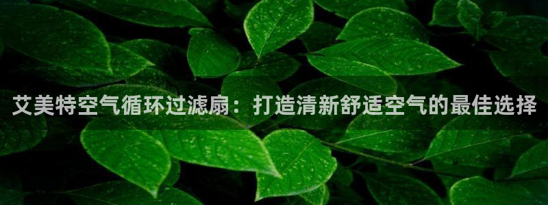 凯发k8旗舰厅app下载可靠送38元：艾美特空气循环过滤扇：打造清新舒适空气的最佳选择