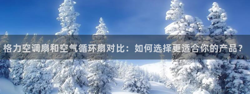 凯发平台k8：格力空调扇和空气循环扇对比：如何选择更适合你的产品？