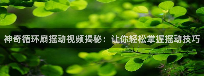 凯发k8娱乐网址多少：神奇循环扇摇动视频揭秘：让你轻松掌握摇动技巧