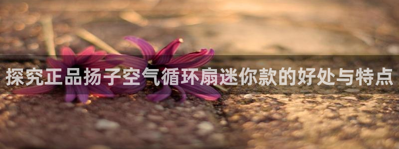凯发k873：探究正品扬子空气循环扇迷你款的好处与特点