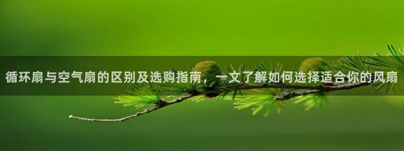 凯发k8娱乐旗舰：循环扇与空气扇的区别及选购指南，一文了解如何选择适合你的风扇