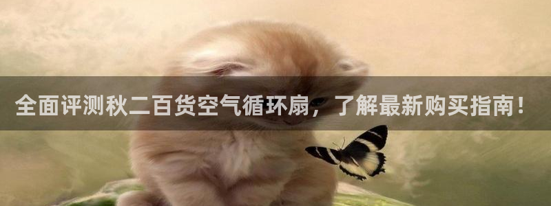 凯发k8官方：全面评测秋二百货空气循环扇，了解最新购买指南！