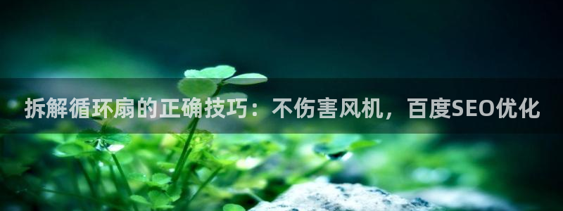 凯发平台首7O777：拆解循环扇的正确技巧：不伤害风机，百度SEO优化