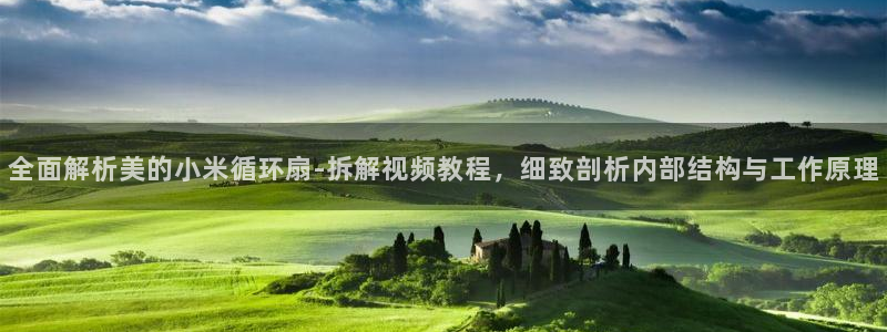 凯发国际平台登录不上：全面解析美的小米循环扇-拆解视频教程，细致剖析内部结构与工作原理