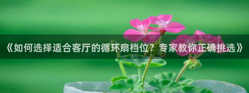 凯发k8娱乐真人旗舰厅客服：《如何选择适合客厅的循环扇档位？专家教你正确挑选》