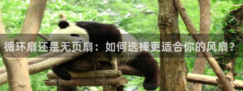 凯发k8娱乐倒闭了吗：循环扇还是无页扇：如何选择更适合你的风扇？