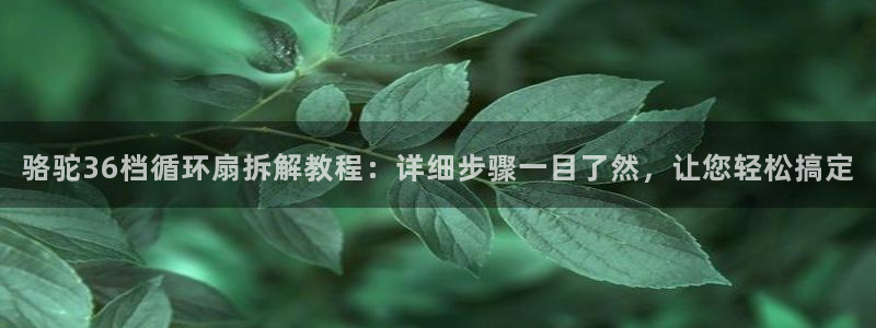 凯发国际平台首页：骆驼36档循环扇拆解教程：详细步骤一目了然，让您轻松搞定