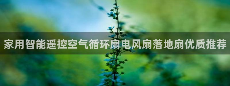 凯发k8国际官网可靠吗：家用智能遥控空气循环扇电风扇落地扇优质推荐