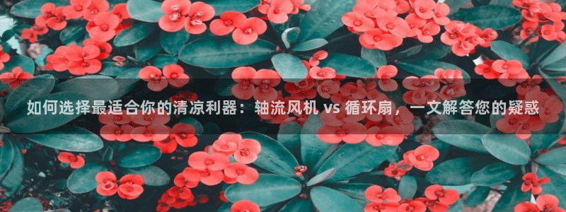 凯发平台医7O777：如何选择最适合你的清凉利器：轴流风机 vs 循环扇，一文解答您的疑惑