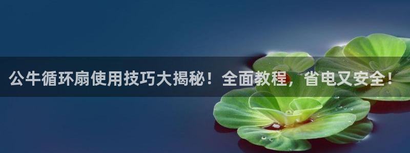 凯发手机app官网：公牛循环扇使用技巧大揭秘！全面教程，省电又安全！