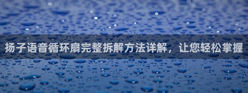 凯发国际网站官网：扬子语音循环扇完整拆解方法详解，让您轻松掌握