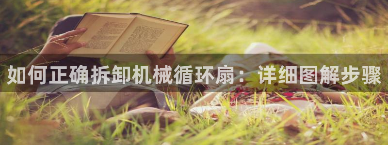 凯发k8国际下载：如何正确拆卸机械循环扇：详细图解步骤