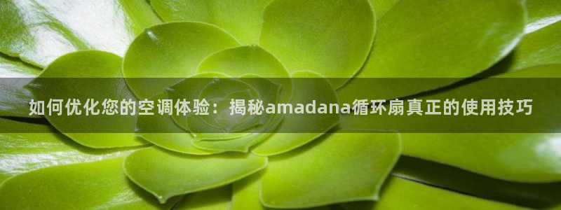 凯发k8国际不能提款了吗：如何优化您的空调体验：揭秘amadana循环扇真正的使用技巧