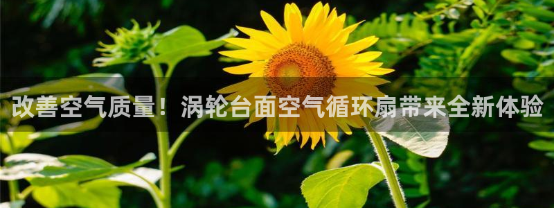 凯发官方手机app：改善空气质量！涡轮台面空气循环扇带来全新体验