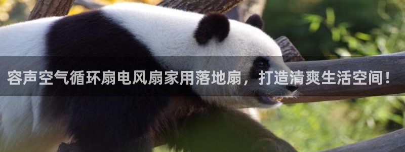 凯发网网站：容声空气循环扇电风扇家用落地扇，打造清爽生活空间！
