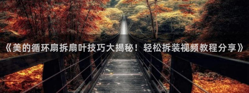 凯发k8娱乐品牌导航：《美的循环扇拆扇叶技巧大揭秘！轻松拆装视频教程分享》