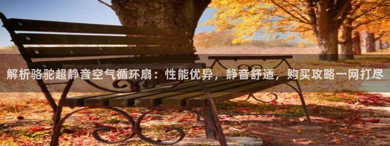 凯发k8国际官网可靠吗：解析骆驼超静音空气循环扇：性能优异，静音舒适，购买攻略一网打尽