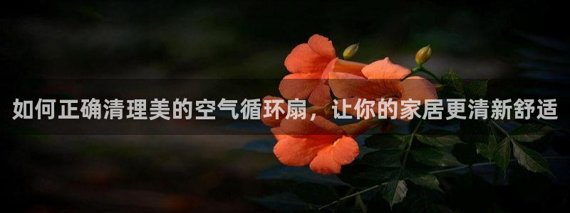 凯发平台医7O777：如何正确清理美的空气循环扇，让你的家居更清新舒适