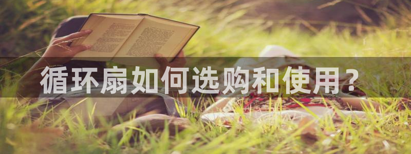 k8凯发官方找就送38：循环扇如何选购和使用？