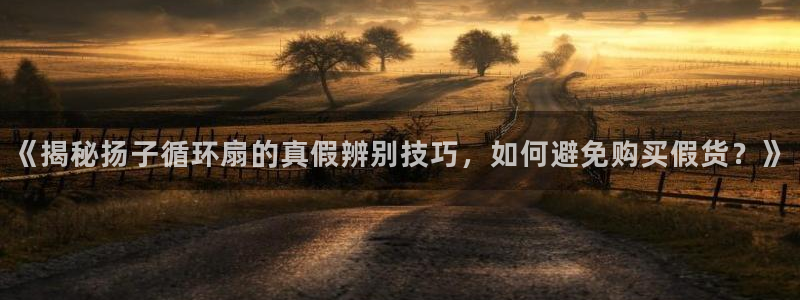 凯发官方首页：《揭秘扬子循环扇的真假辨别技巧，如何避免购买假货？》