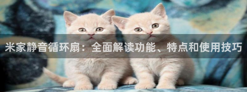 凯发k8娱乐官网手机端中心：米家静音循环扇：全面解读功能、特点和使用技巧