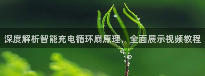 凯发国际平台官网：深度解析智能充电循环扇原理，全面展示视频教程