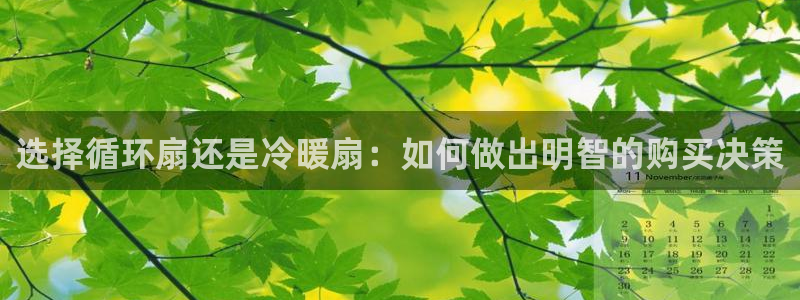 凯发娱乐k8下载：选择循环扇还是冷暖扇：如何做出明智的购买决策