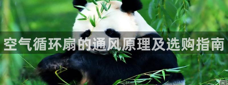 凯发k8手机是正品吗多少钱：空气循环扇的通风原理及选购指南