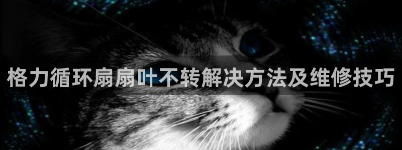 凯发平台轻7O777：格力循环扇扇叶不转解决方法及维修技巧
