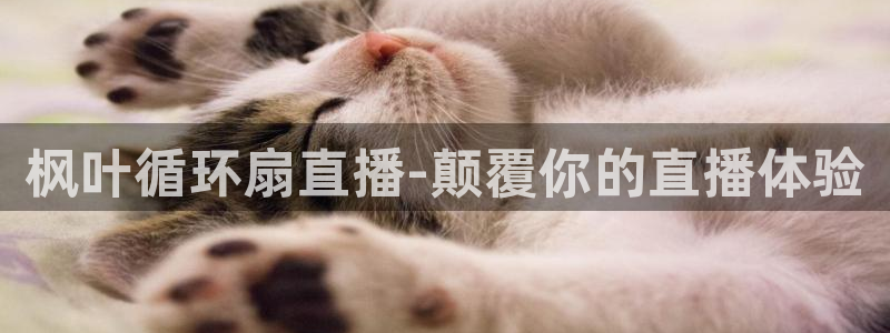 凯发k8国际真人娱乐旗舰厅：枫叶循环扇直播-颠覆你的直播体验