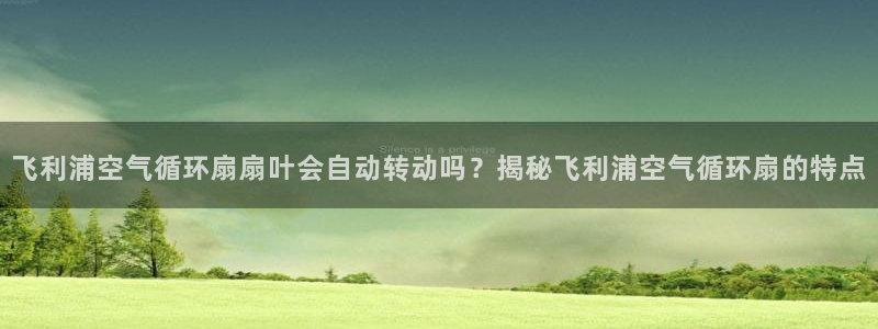 凯发网网站：飞利浦空气循环扇扇叶会自动转动吗？揭秘飞利浦空气循环扇的特点